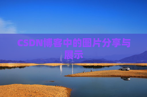 CSDN博客中的图片分享与展示